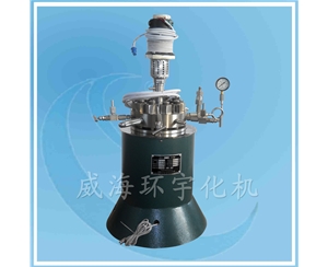 Laboratory Reactor with PTFE